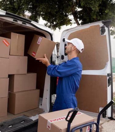 Removals Services